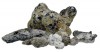 Ámbar gris. El oro que flota. Pressentia_ambar_gris