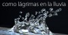 Memoria líquida pressentia_memorialiquida_t