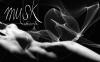 Los sutiles aromas del musk. Musk - Almizcle - Perfumes